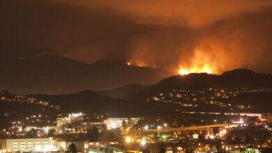 Photo of Лос-Анджелес: город ангелов и звезд