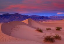 Photo of Долина Смерти: жестокость природы в пустыне