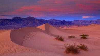 Photo of Долина Смерти: жестокость природы в пустыне