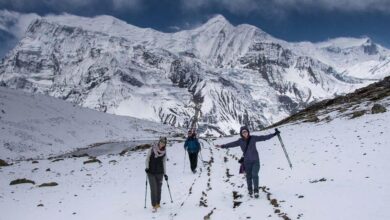 Photo of Треккинг в Гималаях