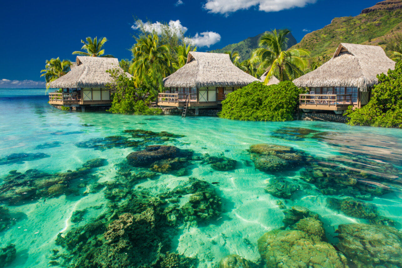 Фото 44 — Путешествие по острову Таити