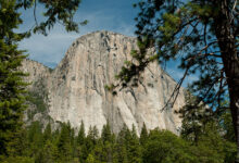 Photo of Путешествие по Национальному парку Йосемити