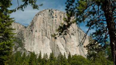 Photo of Путешествие по Национальному парку Йосемити