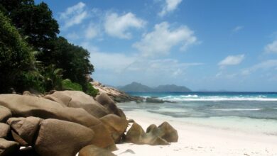 Photo of Отдых на пляже Сейшельских островов