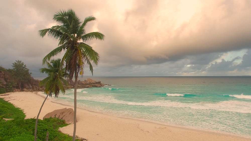 Фото 66 — Отдых на острове Сейшелы