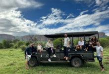 Photo of Сафари в Национальном парке Крюгер