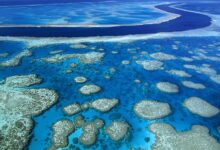 Photo of Великий Барьерный Риф: подводное чудо
