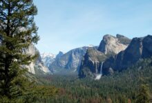 Photo of Йосемити: национальный парк в Калифорнии