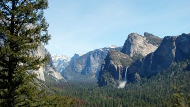 Photo of Йосемити: национальный парк в Калифорнии