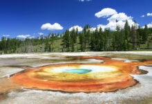 Photo of Лесные прогулки в Национальном парке Йеллоустоун