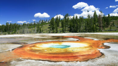 Photo of Лесные прогулки в Национальном парке Йеллоустоун